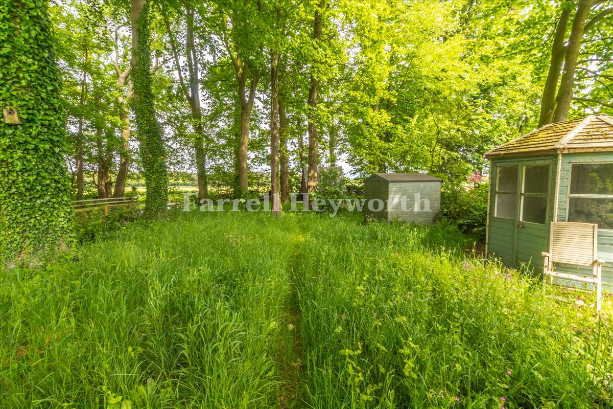Garden image 5