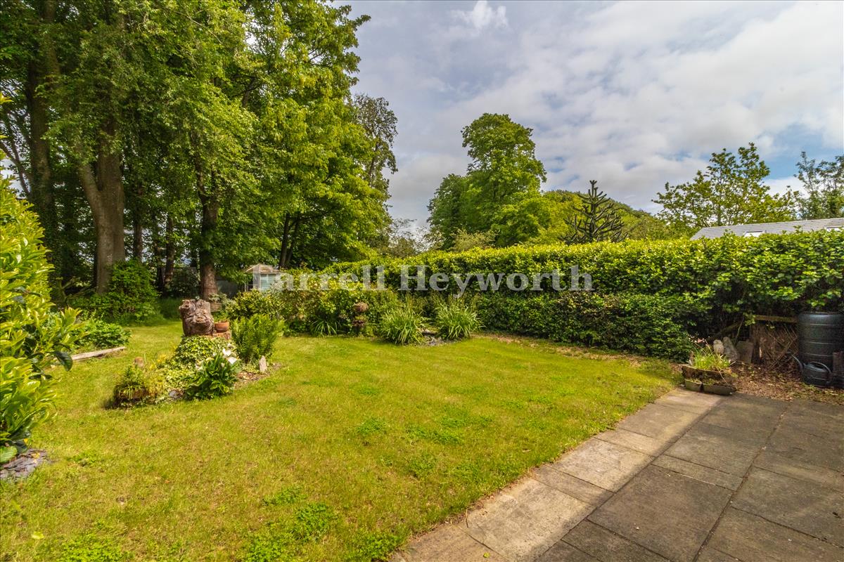 Garden image 6