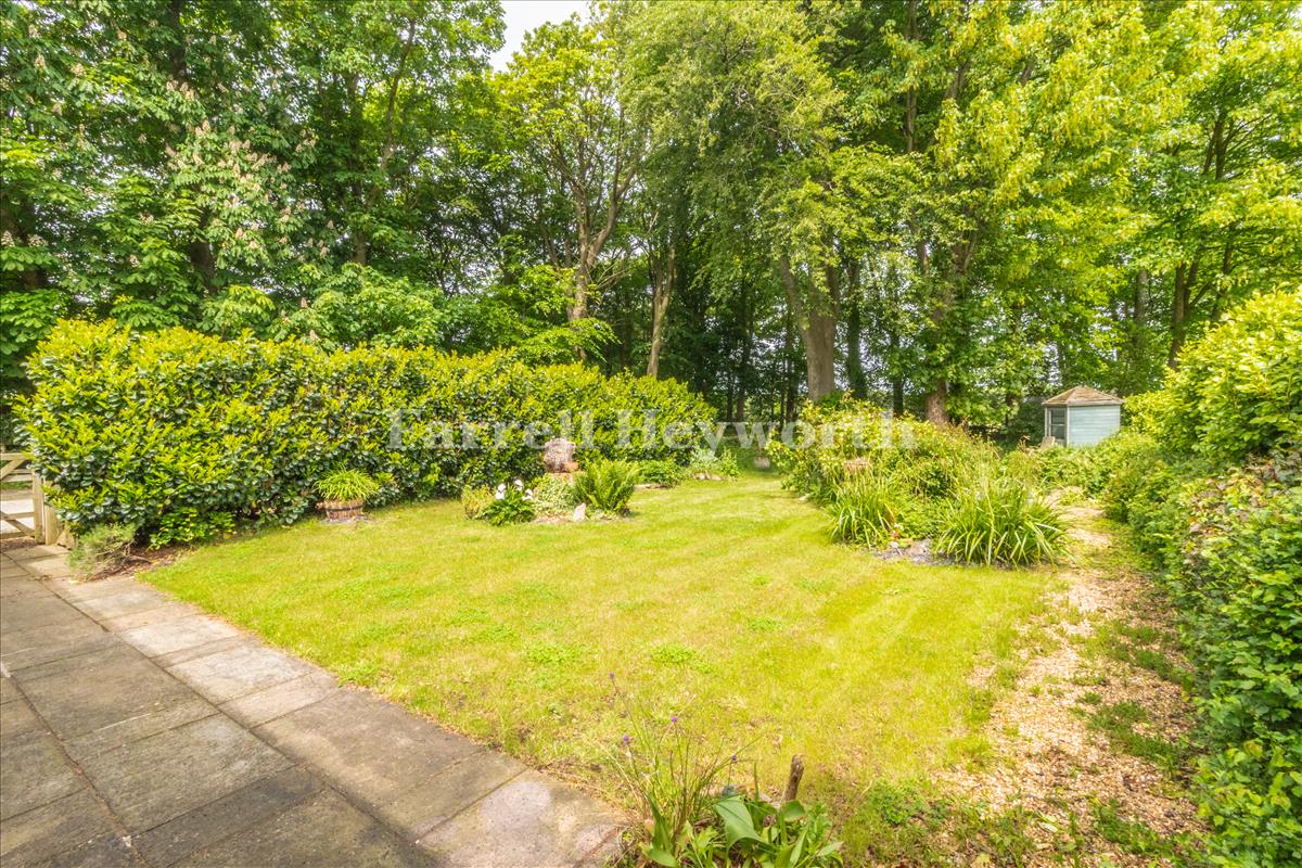 Garden image 7