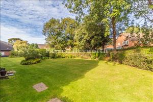 Communal Grdens image 2