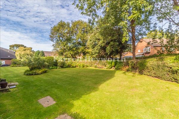 Communal Grdens image 2