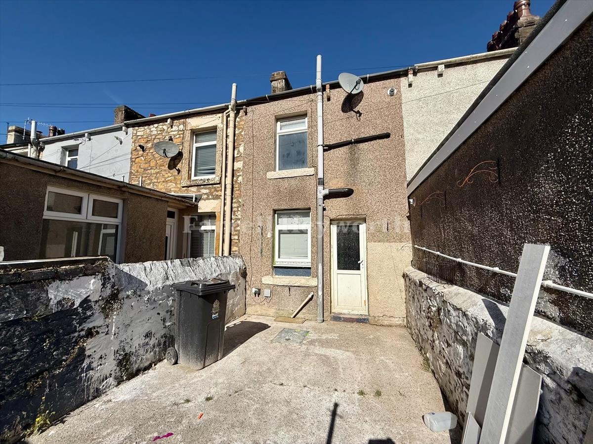 Rear yard and elevation