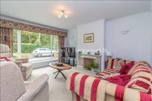 Lounge image 2
