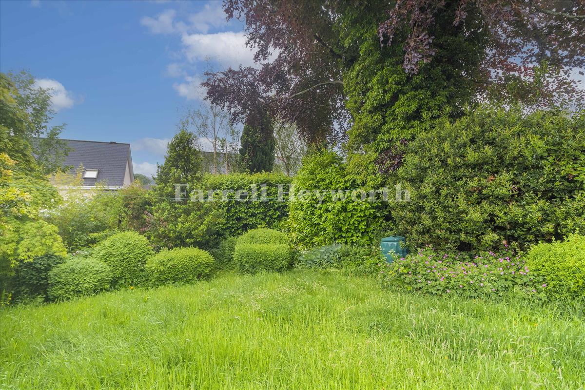 New Rear Garden