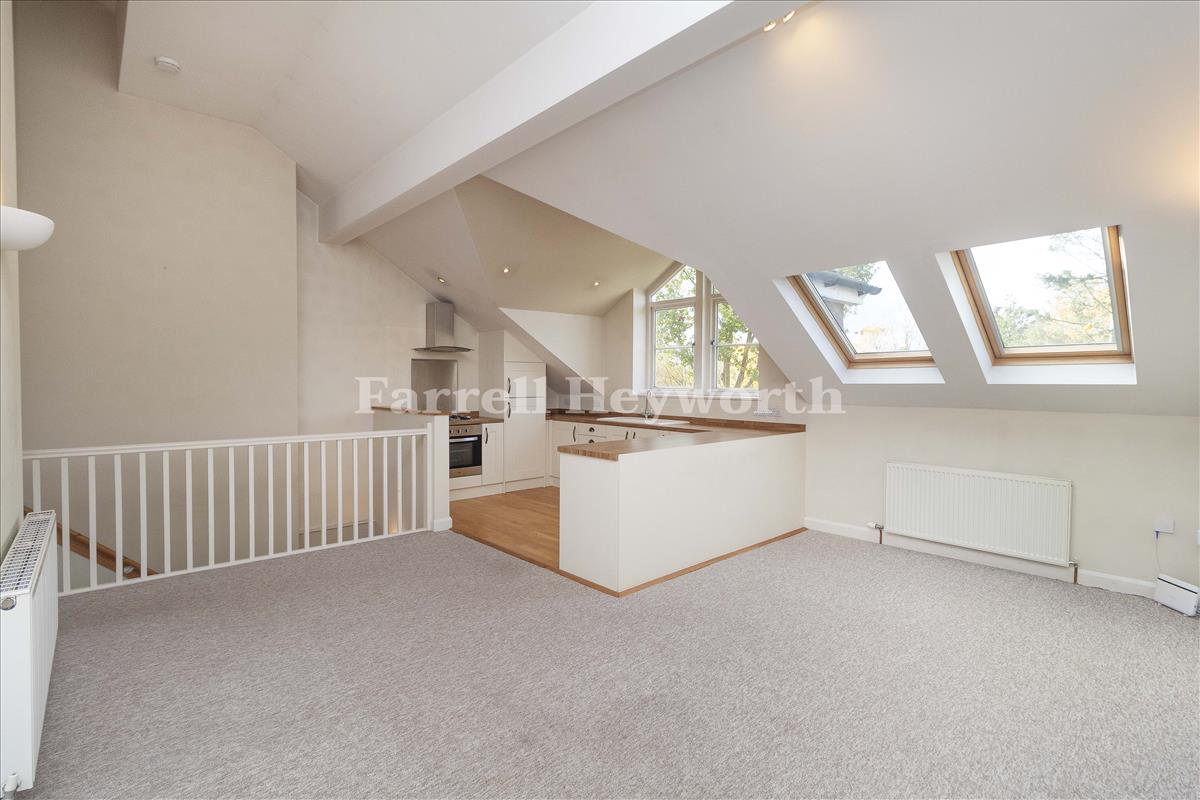 New Open Plan Living 3