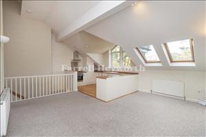 New Open Plan Living 3