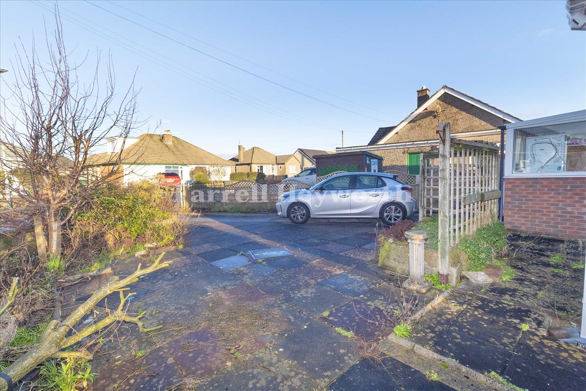 Driveway and side garden