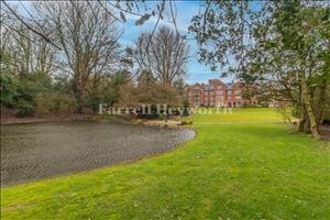 Communal Gardens image 2