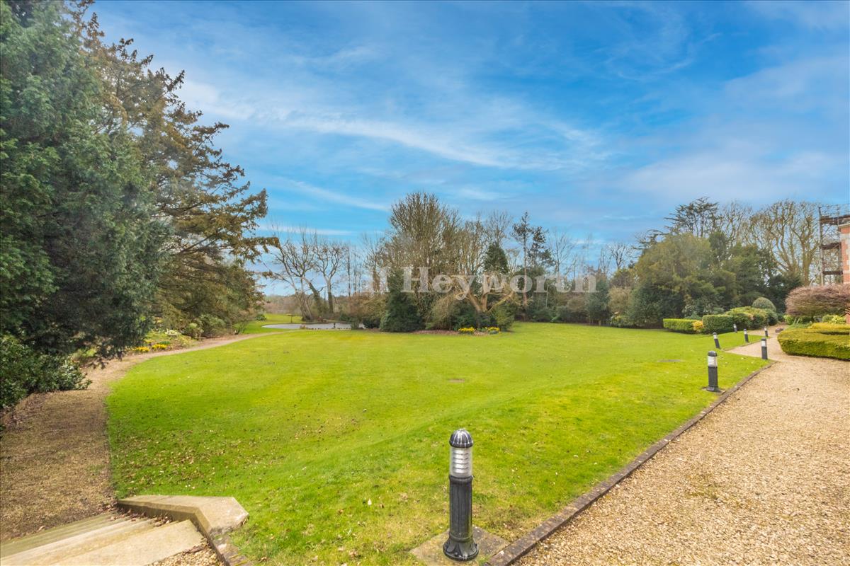 Communal Gardens image 3