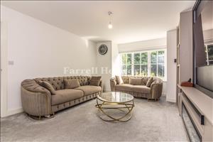 Lounge b