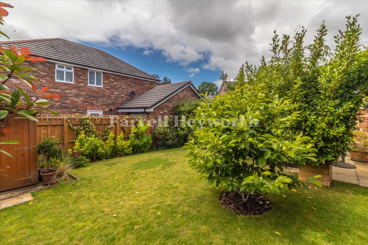 Garden image 2