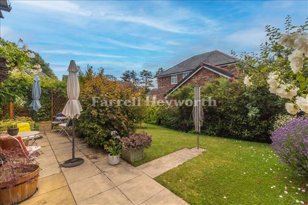 Garden image 5
