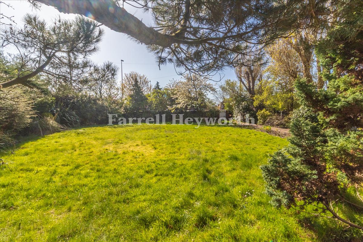 Front Garden image 2