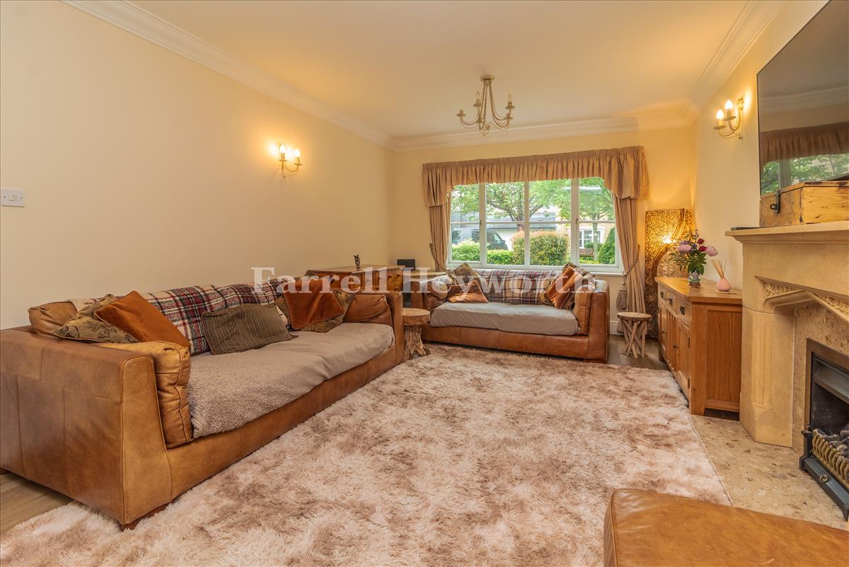 Lounge image 2