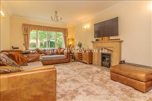 Lounge image 3
