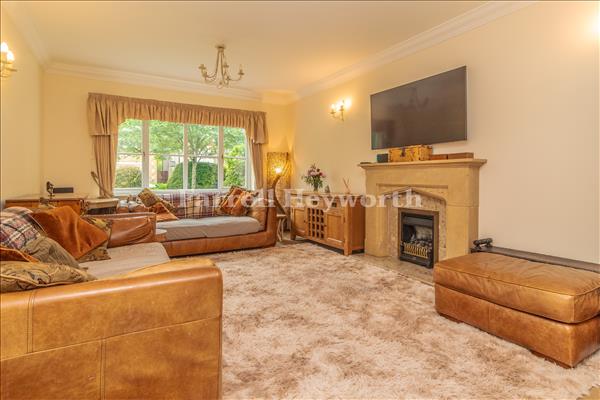 Lounge image 3