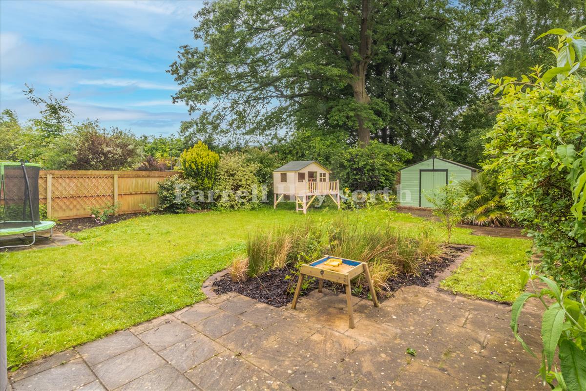 Rear Garden image 4