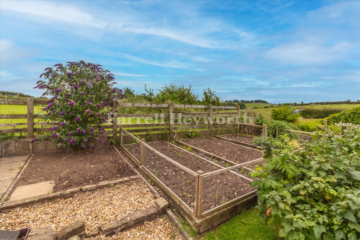 Rear Garden image 3
