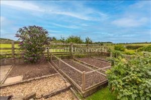 Rear Garden image 3