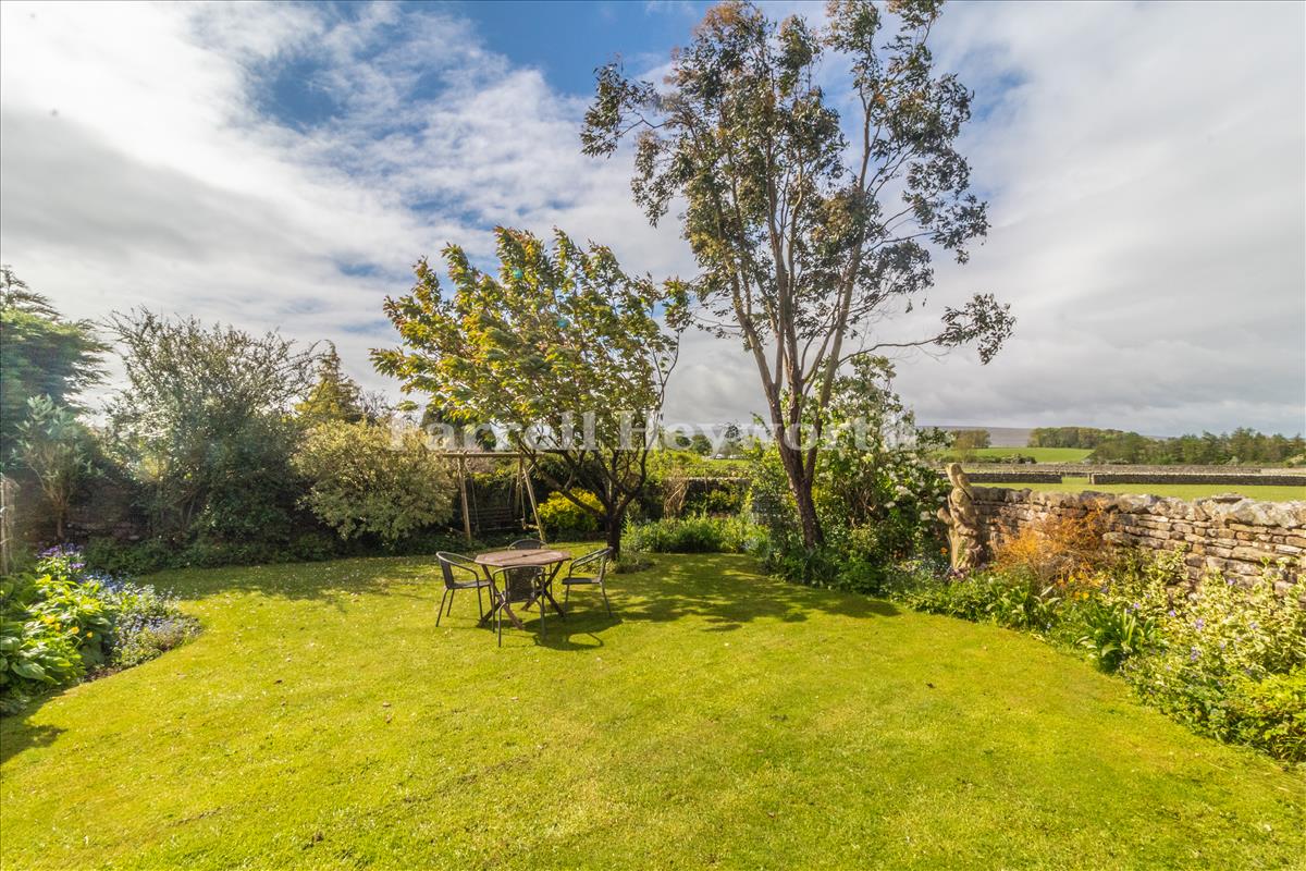 Rear Garden image 3