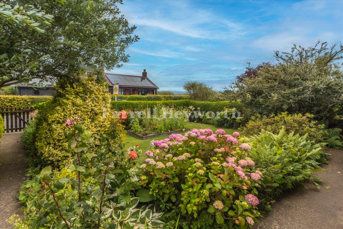 Front Garden New