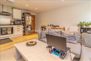 Open Plan Area