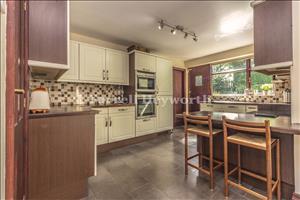 Kitchen view d