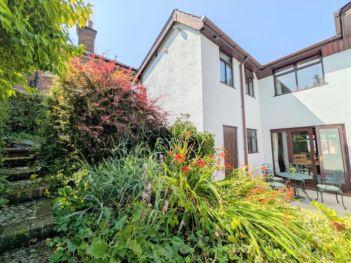 Rear Garden New 6