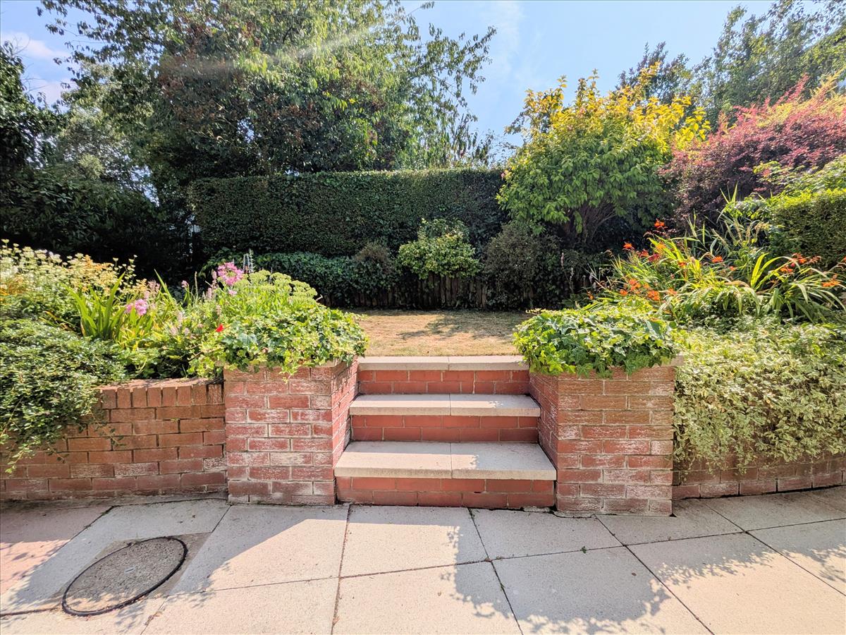 Rear Garden New 9