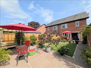 Rear Garden New 10