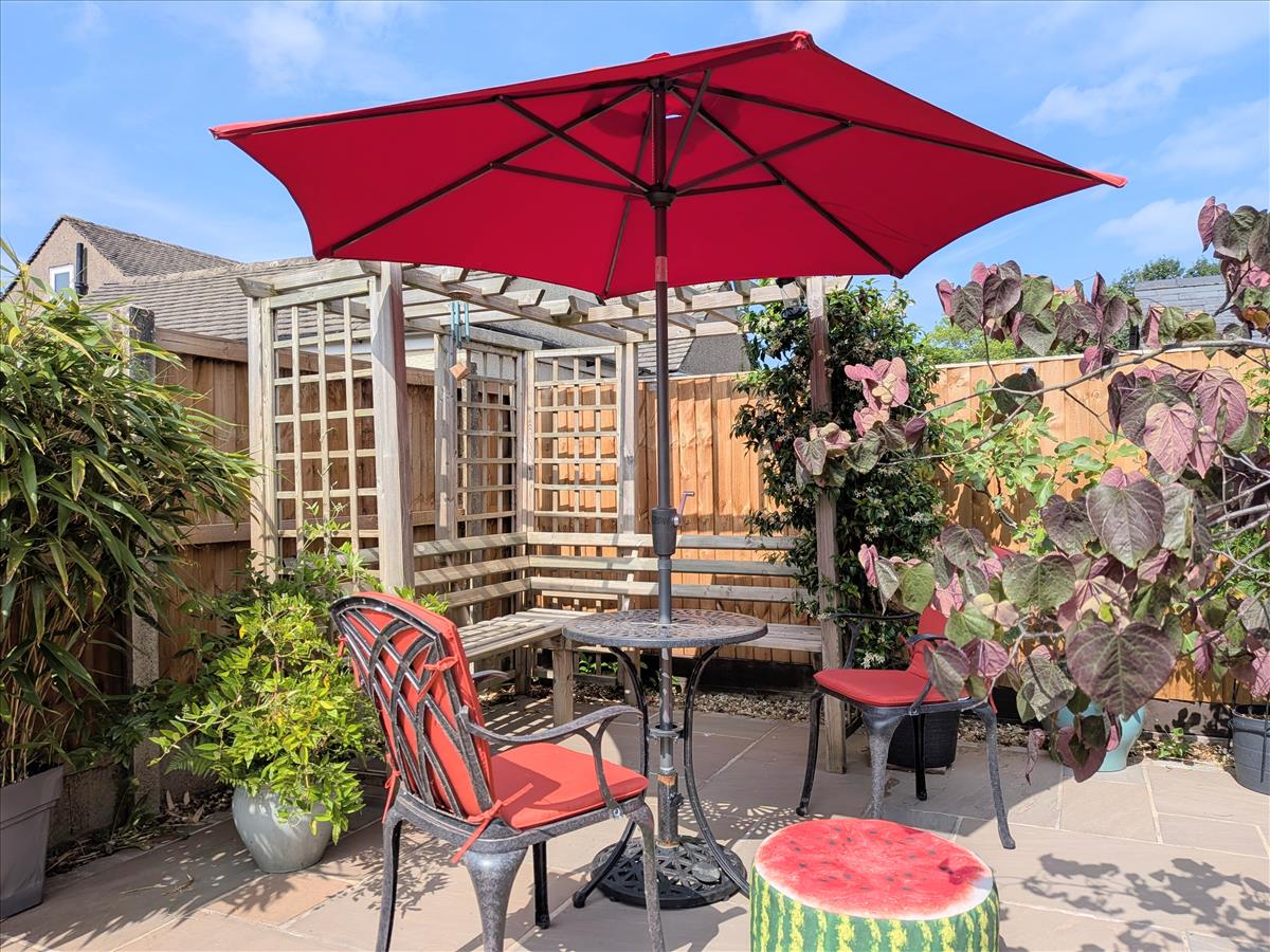 Rear Garden New 11