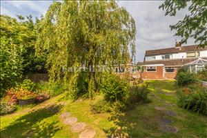 Rear Garden image 2