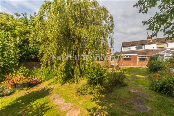 Rear Garden image 2