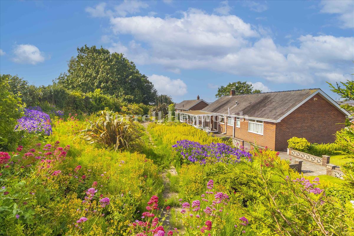 Rear Garden 3