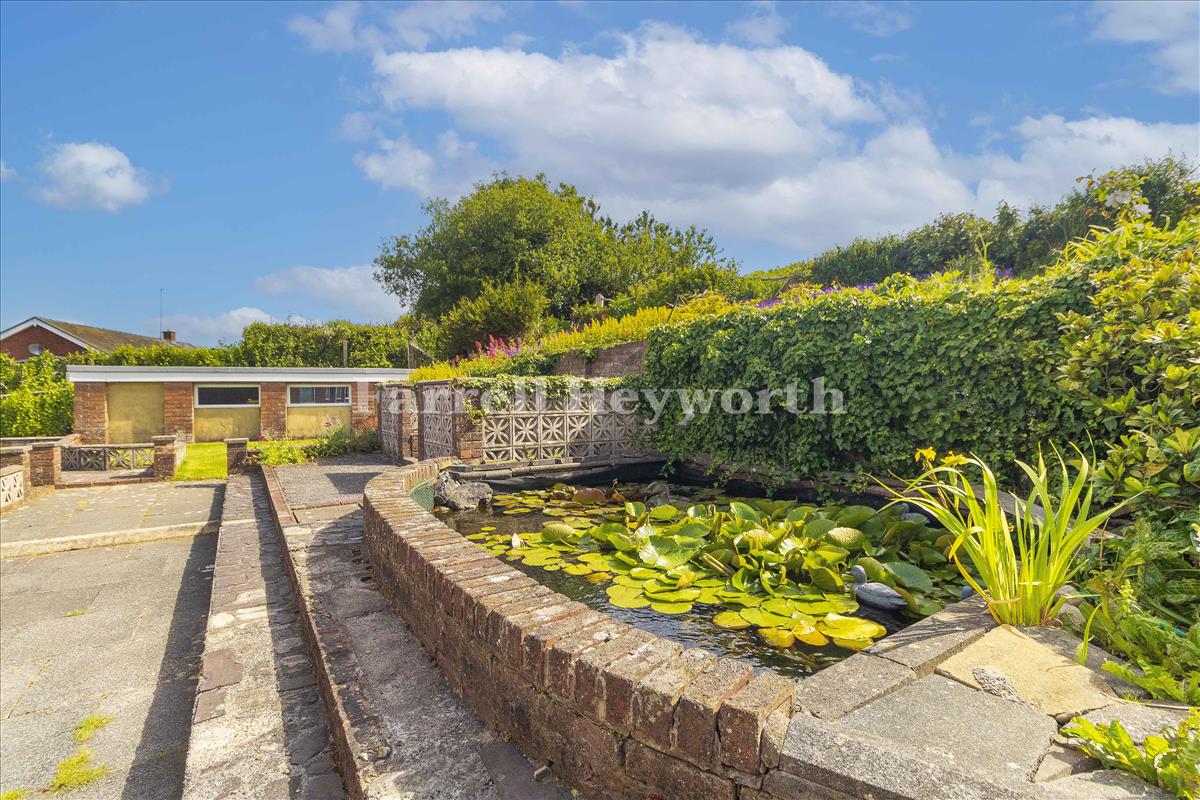 Rear Garden 4