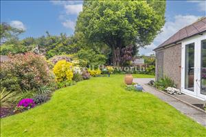 Rear Garden 2