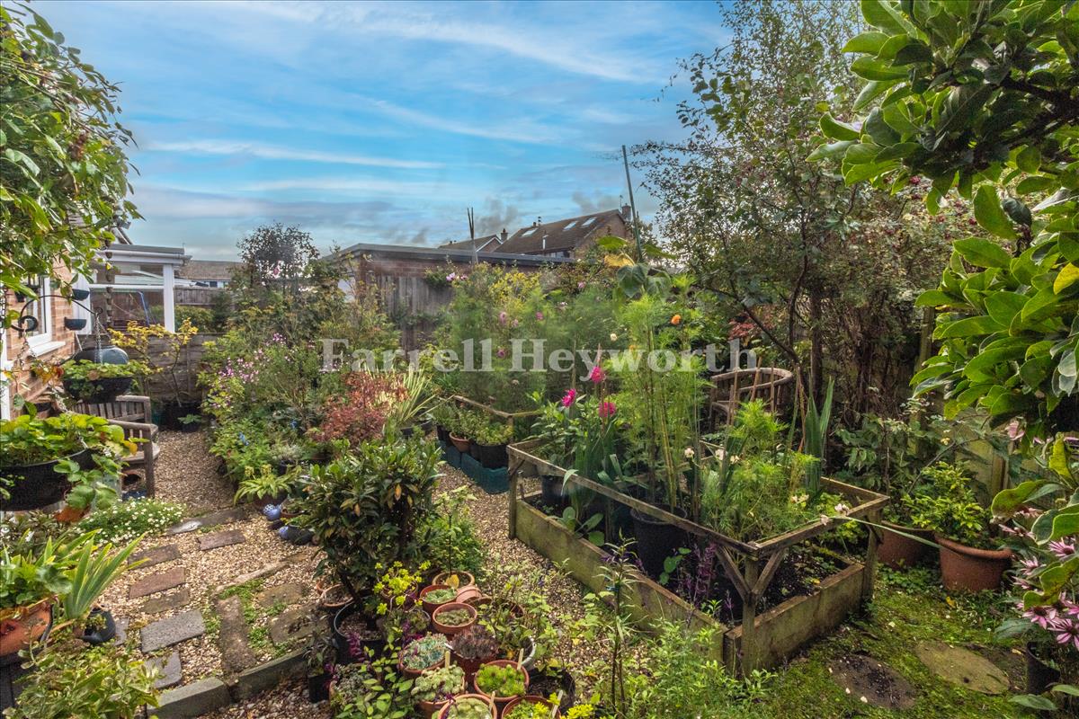 Garden image 3