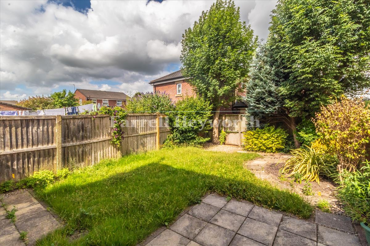 Garden image 2