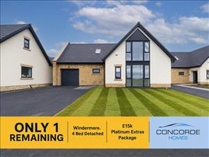 Plot 8