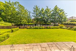 Communal Garden image 2