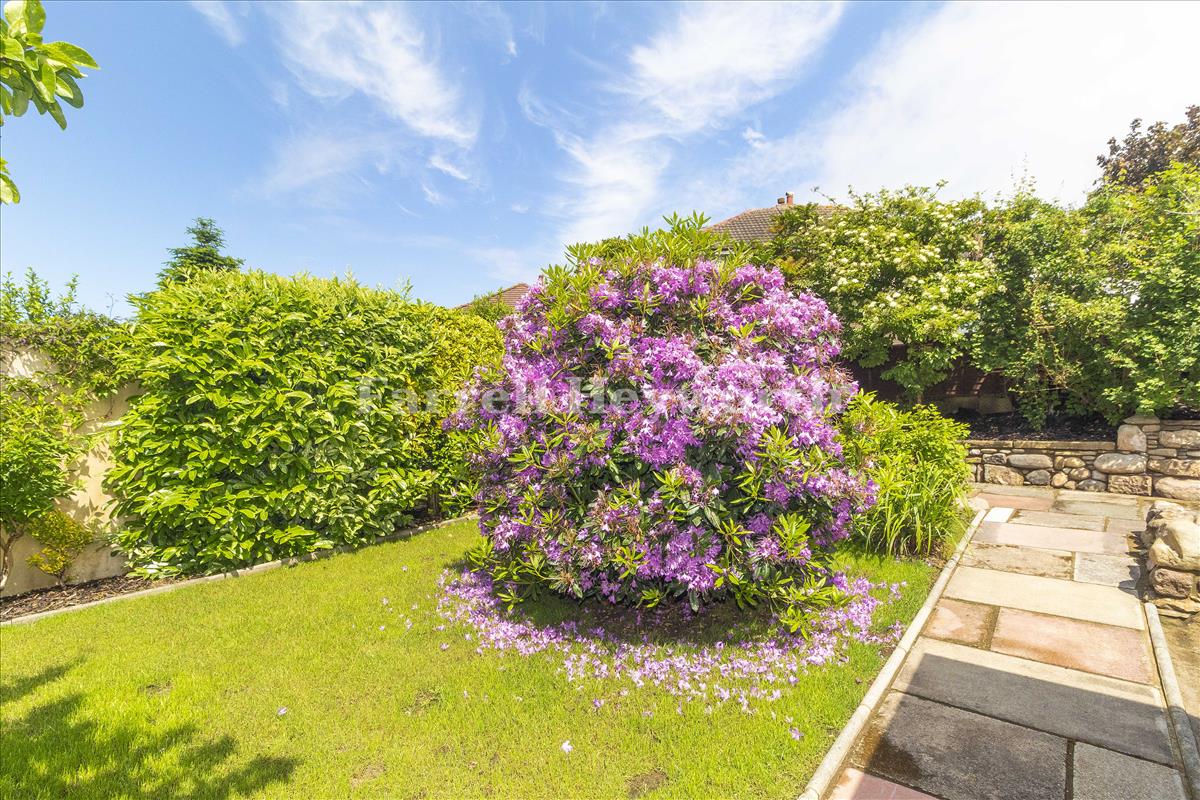 Rear garden view 2