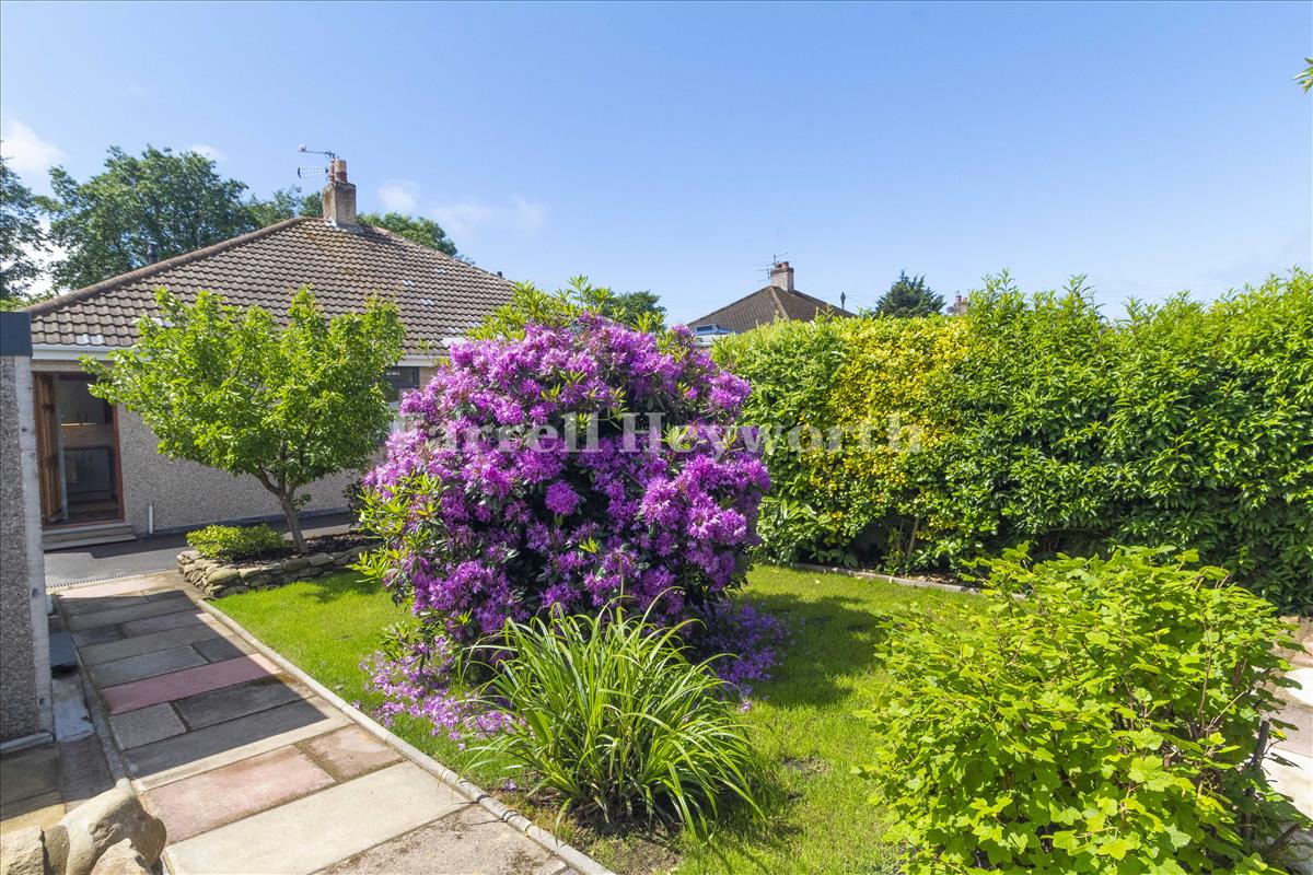 Rear garden view 5