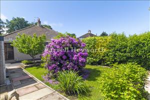 Rear garden view 5