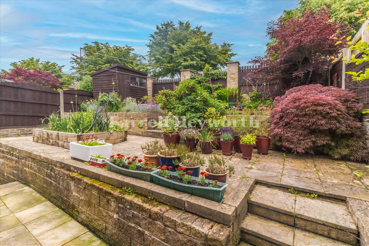 Garden image 3