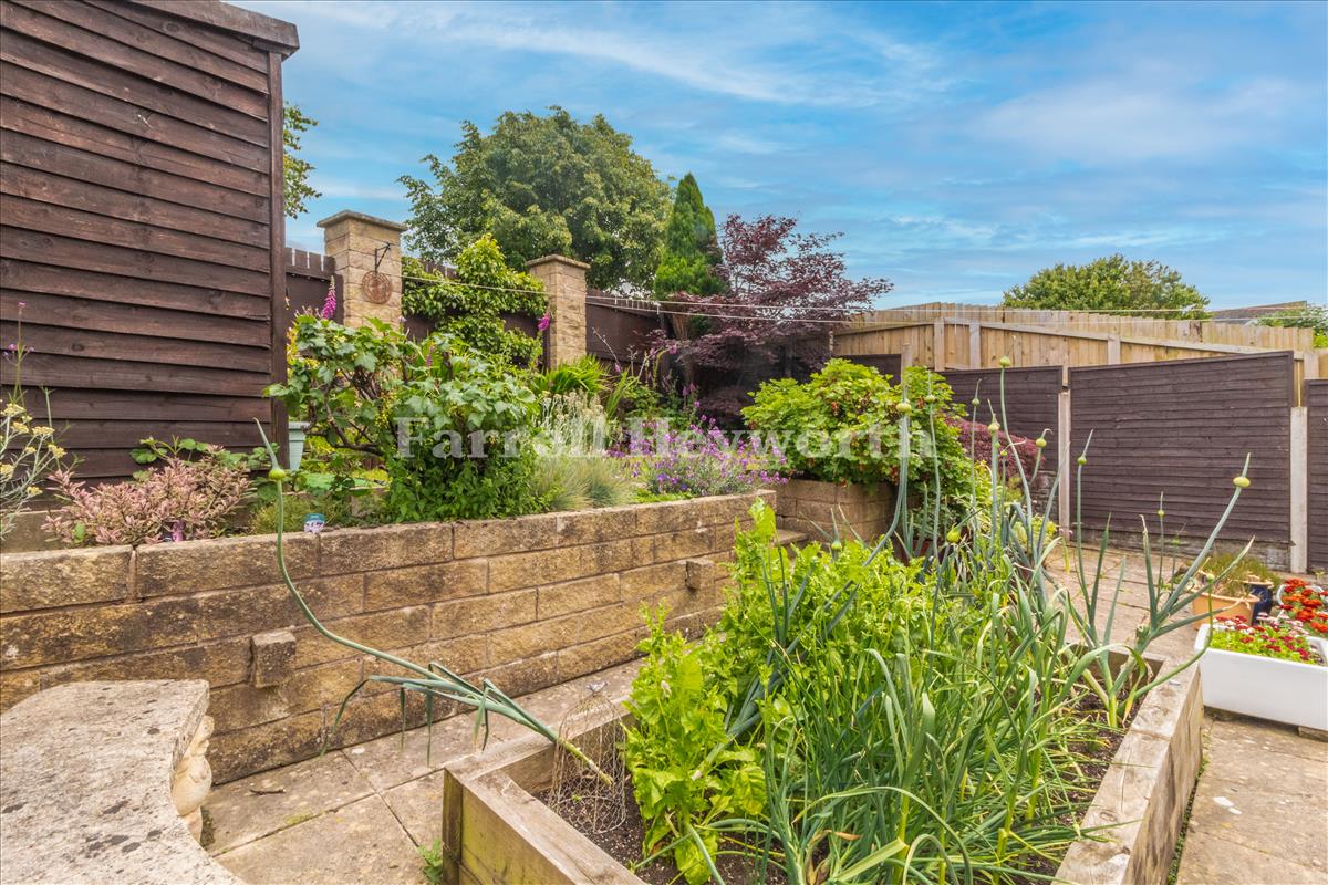 Garden image 4