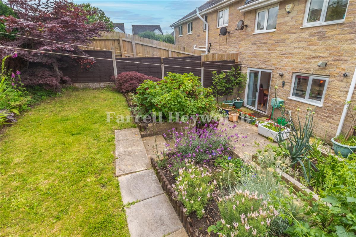 Garden image 5