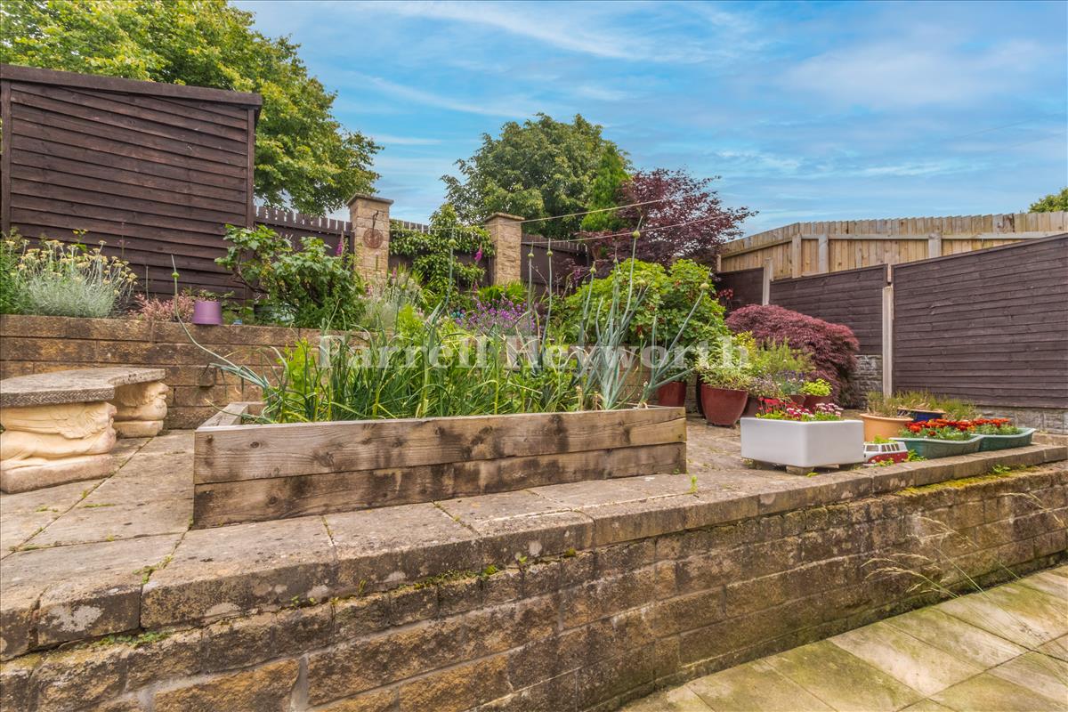 Garden image 6