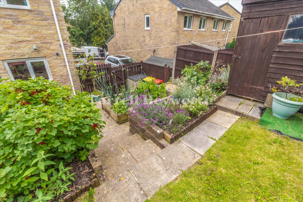 Garden image 7