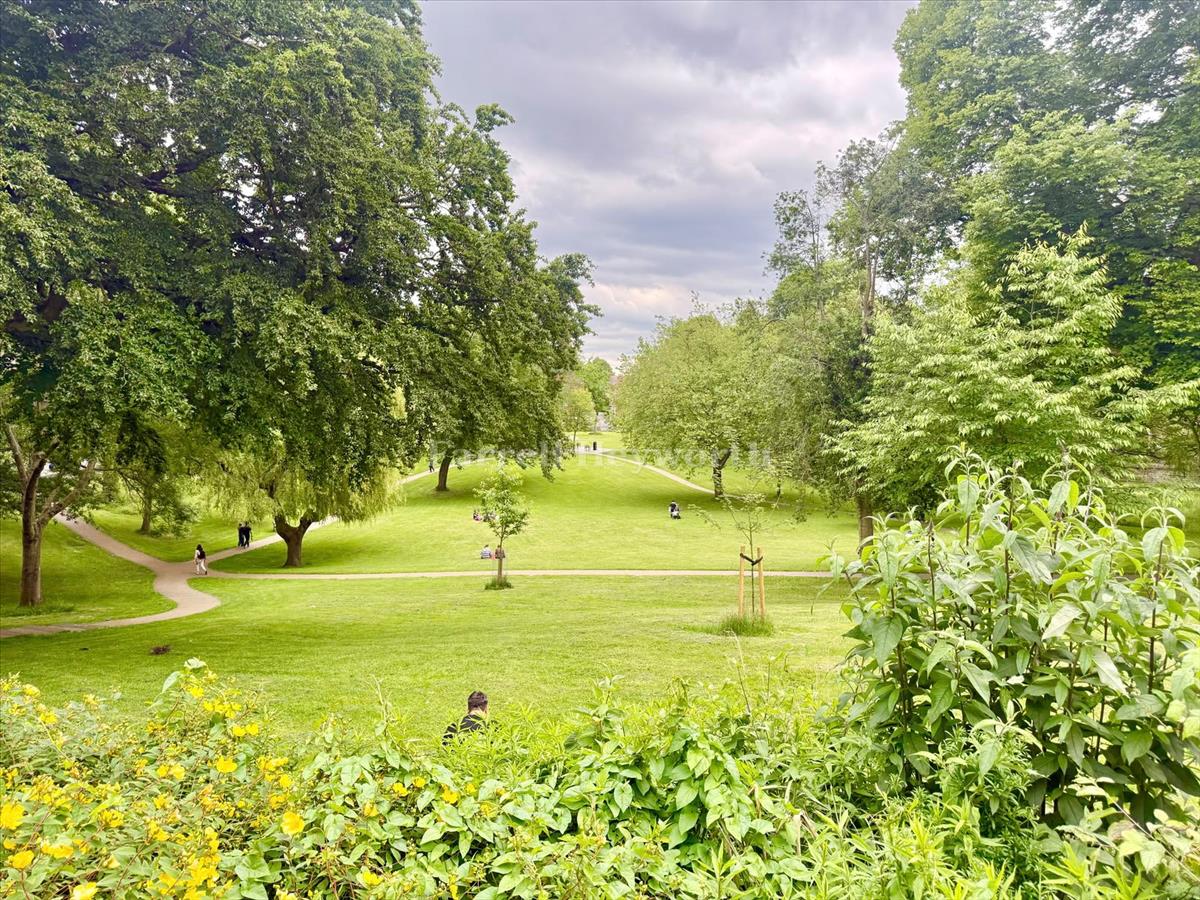 Park