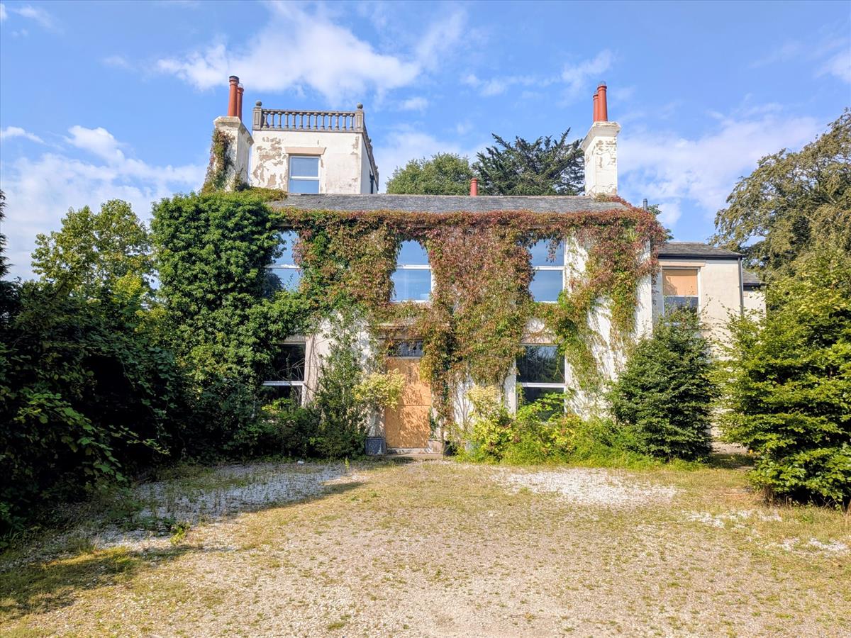 Front Aspect